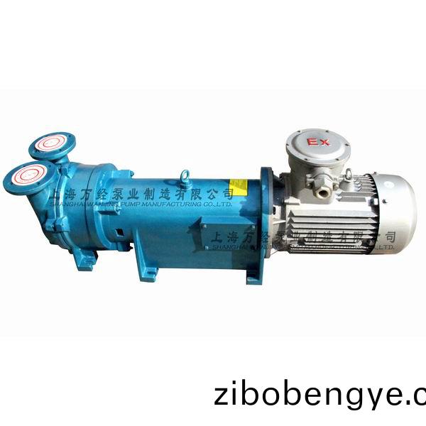 2BV6121型水環(huán)式(shi)真空(kong)泵