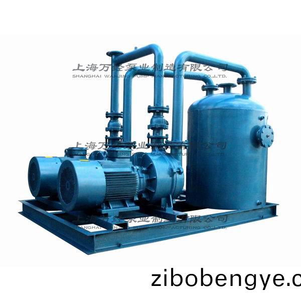 2BV5161水(shui)環(huán)(huan)真空(kong)機(ji)組