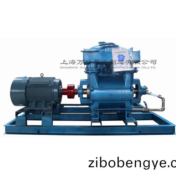 2BE202水環(huán)(huan)真空機(jī)組