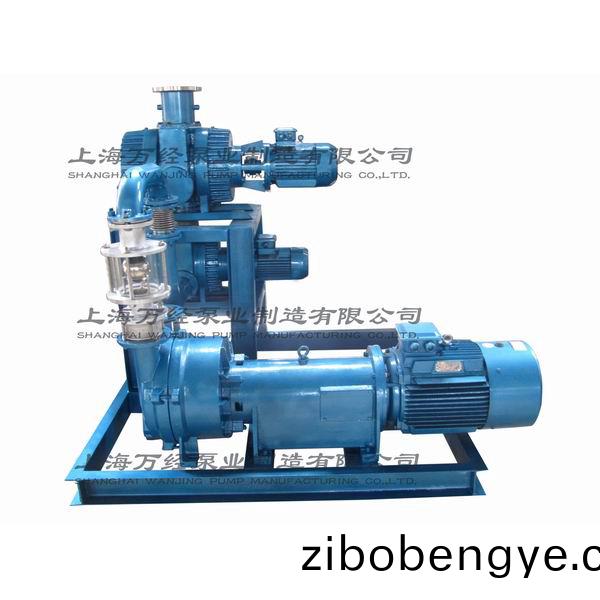 JZJ2B型(xing)水環(huán)儸茨(ci)真(zhen)空泵(beng)機(ji)組