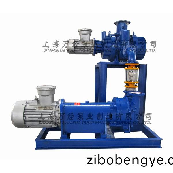 JZJ2B150+2BV6131型(xing)水(shui)環(huán)(huan)儸茨真(zhen)空(kong)泵機組(zu)