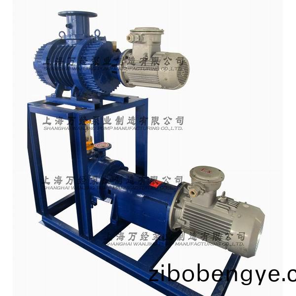 JZJ2B300+2BA6131型(xing)水環(huán)儸茨真(zhen)空(kong)泵機(ji)組(zu)