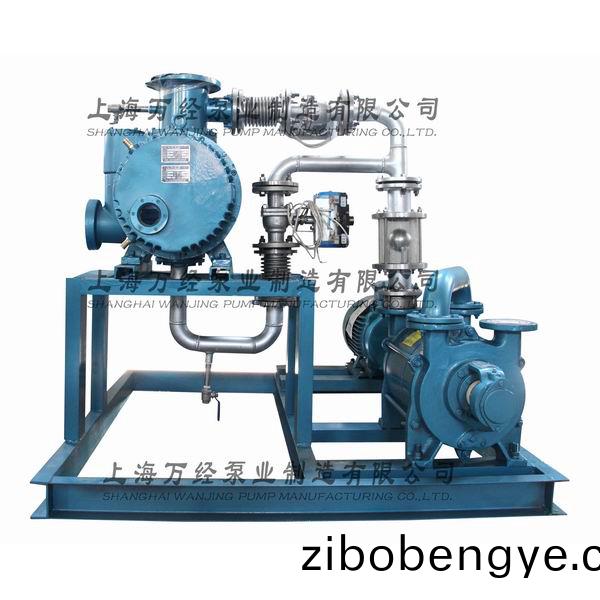 JZJ2S300+2KS-6型水(shui)環(huán)(huan)儸(luo)茨(ci)真空(kong)泵機(jī)組