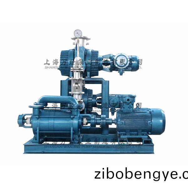 JZJ2S600+300+2KS-12型(xing)水環(huán)(huan)儸(luo)茨真(zhen)空(kong)泵(beng)機(jī)(ji)組