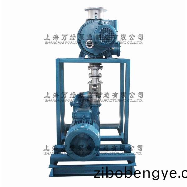 JZJ2S600+2KS-12型水環(huán)(huan)儸茨(ci)真空泵(beng)機(jī)組(zu)