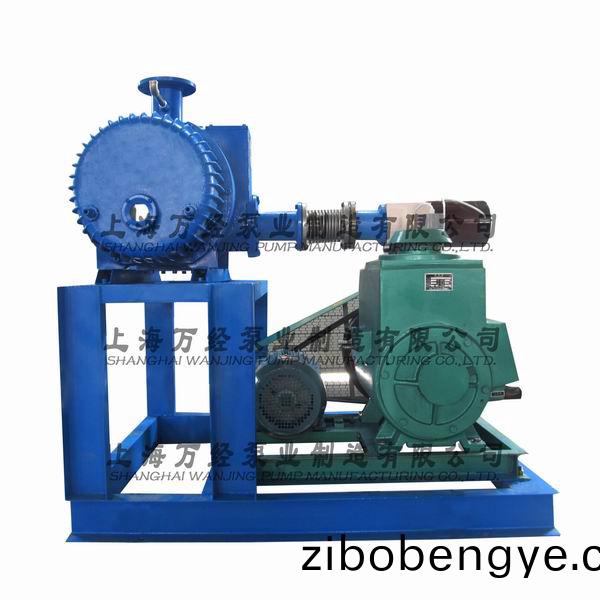 JZJ2X型(xing)鏇(xuan)片(pian)儸(luo)茨(ci)真(zhen)空(kong)泵(beng)機組(zu)