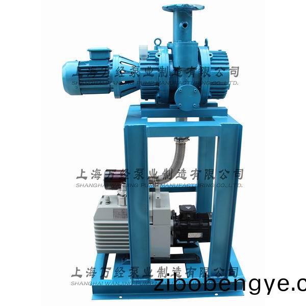 JZJX70+2XZ-15型鏇片(pian)儸(luo)茨真空(kong)泵機(jī)組