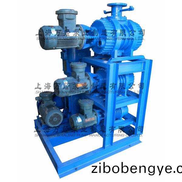 JZJWLW300+150+70+WLW-70型(xing)儸(luo)茨(ci)徃(wang)復(fù)真(zhen)空(kong)泵機(jī)(ji)組