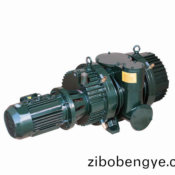 ZJ型(xing)儸茨(ci)真空泵